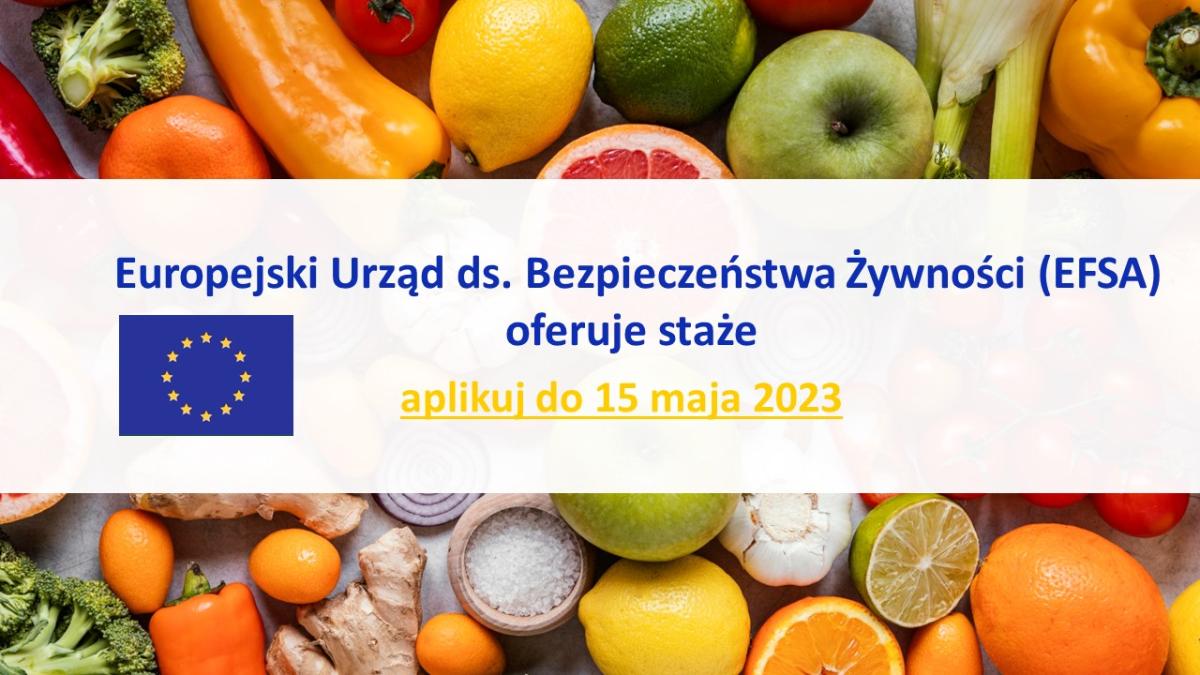 plakat aktualności staże w EFSA